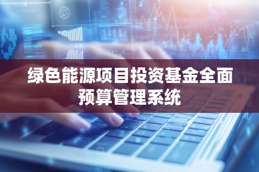 绿色能源项目投资基金全面预算管理系统