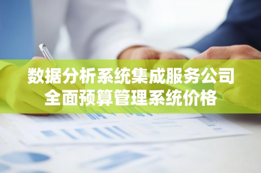 数据分析系统集成服务公司全面预算管理系统价格