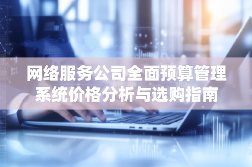 网络服务公司全面预算管理系统价格分析与选购指南