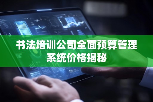 书法培训公司全面预算管理系统价格揭秘