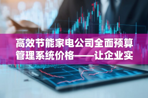 高效节能家电公司全面预算管理系统价格——让企业实现智能化成本控制
