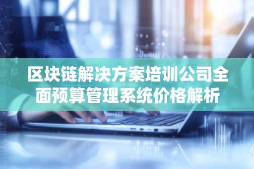 区块链解决方案培训公司全面预算管理系统价格解析