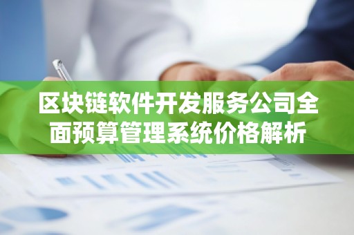 区块链软件开发服务公司全面预算管理系统价格解析