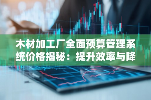 木材加工厂全面预算管理系统价格揭秘：提升效率与降低成本的必备工具
