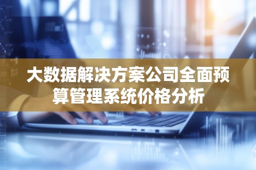 大数据解决方案公司全面预算管理系统价格分析