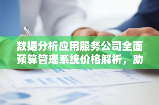 数据分析应用服务公司全面预算管理系统价格解析，助力企业精细化运营