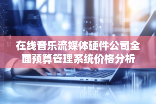 在线音乐流媒体硬件公司全面预算管理系统价格分析