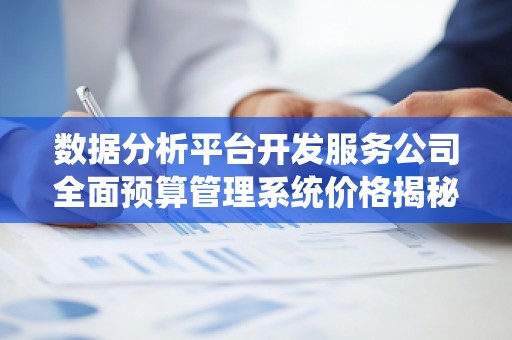 数据分析平台开发服务公司全面预算管理系统价格揭秘
