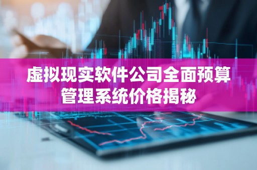 虚拟现实软件公司全面预算管理系统价格揭秘