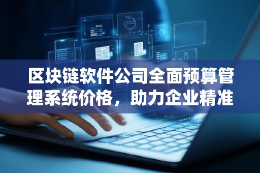 区块链软件公司全面预算管理系统价格,助力企业精准掌控财务