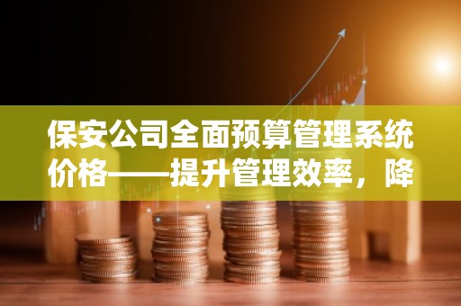 保安公司全面预算管理系统价格——提升管理效率，降低运营成本