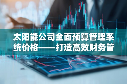 太阳能公司全面预算管理系统价格——打造高效财务管理，提升企业竞争力