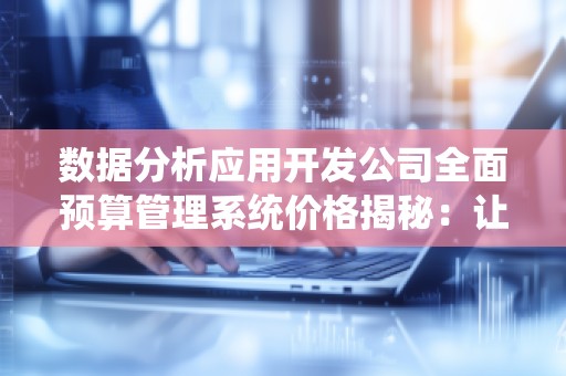 数据分析应用开发公司全面预算管理系统价格揭秘：让企业预算管理更加高效