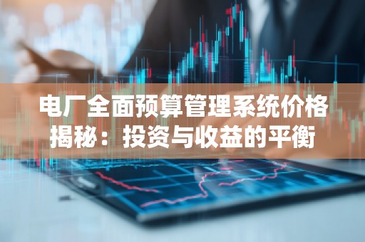 电厂全面预算管理系统价格揭秘：投资与收益的平衡