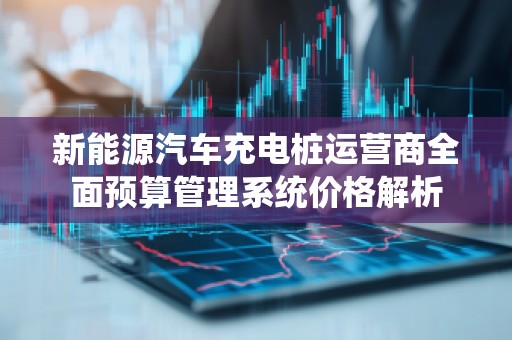 新能源汽车充电桩运营商全面预算管理系统价格解析