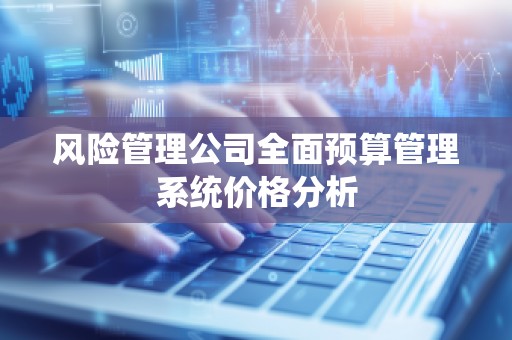 风险管理公司全面预算管理系统价格分析