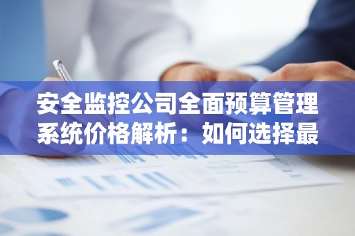 安全监控公司全面预算管理系统价格解析：如何选择***具性价比的解决方案
