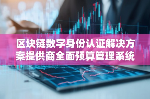区块链数字身份认证解决方案提供商全面预算管理系统价格