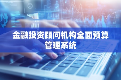 金融投资顾问机构全面预算管理系统