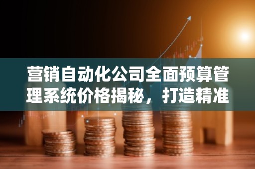 营销自动化公司全面预算管理系统价格揭秘，打造精准高效预算管理