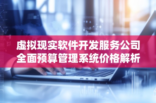 虚拟现实软件开发服务公司全面预算管理系统价格解析
