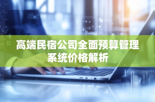 高端民宿公司全面预算管理系统价格解析