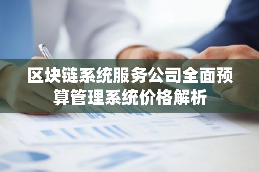 区块链系统服务公司全面预算管理系统价格解析