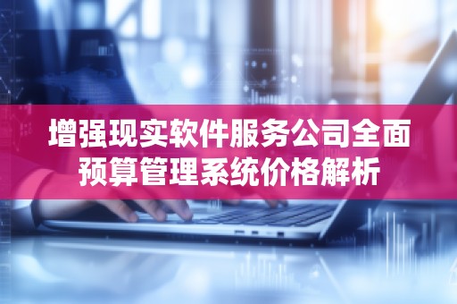 增强现实软件服务公司全面预算管理系统价格解析