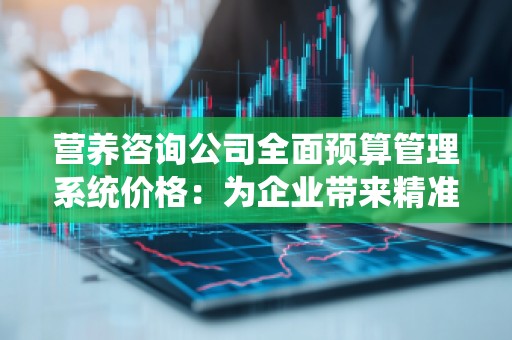 营养咨询公司全面预算管理系统价格：为企业带来精准决策与高效管理