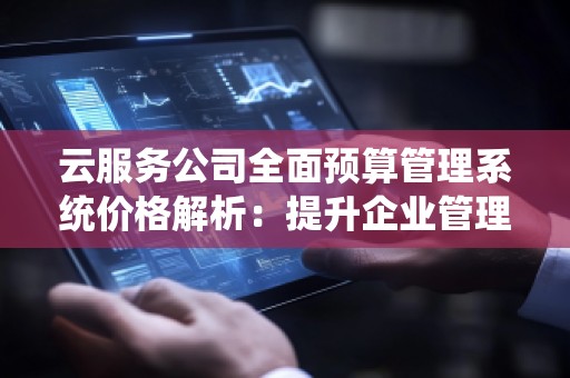 云服务公司全面预算管理系统价格解析:提升企业管理效率的关键