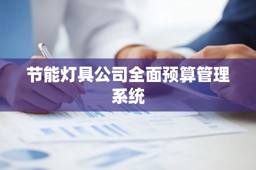 节能灯具公司全面预算管理系统