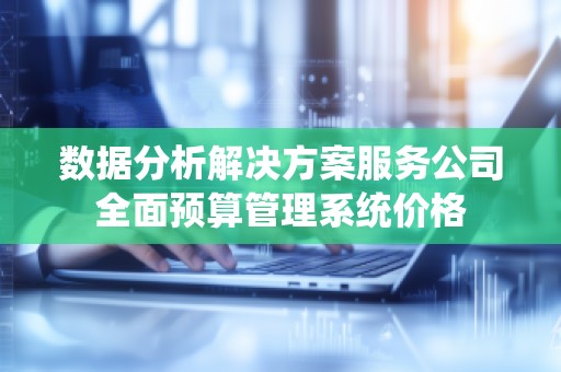 数据分析解决方案服务公司全面预算管理系统价格