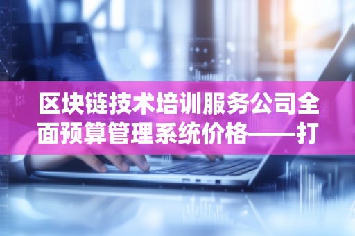 区块链技术培训服务公司全面预算管理系统价格——打造高效、透明的财务管理解决方案