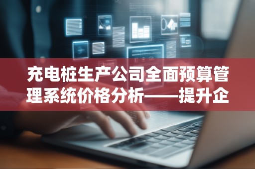 充电桩生产公司全面预算管理系统价格分析——提升企业竞争力的智慧之选
