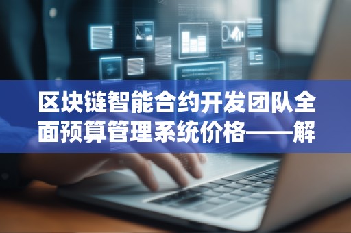 区块链智能合约开发团队全面预算管理系统价格——解锁财务透明与高效管理的新模式