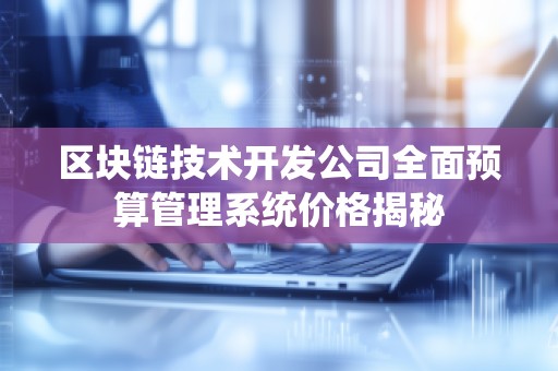 区块链技术开发公司全面预算管理系统价格揭秘
