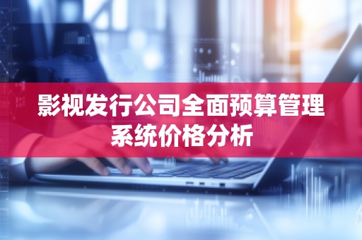 影视发行公司全面预算管理系统价格分析