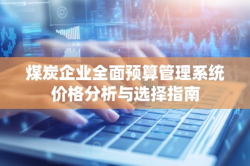 煤炭企业全面预算管理系统价格分析与选择指南