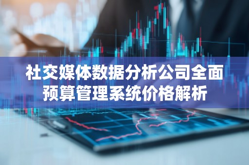 社交媒体数据分析公司全面预算管理系统价格解析