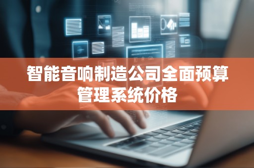 智能音响制造公司全面预算管理系统价格