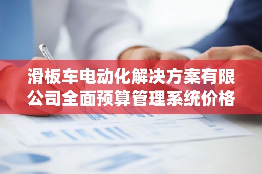 滑板车电动化解决方案有限公司全面预算管理系统价格解析