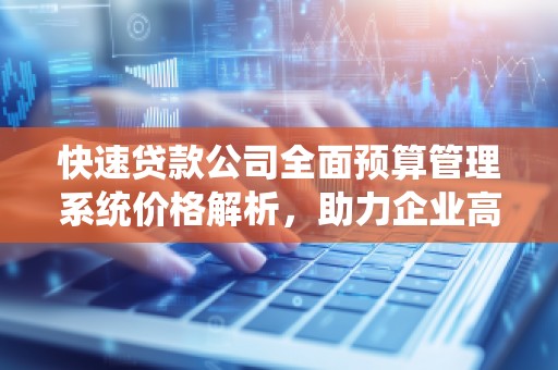 快速贷款公司全面预算管理系统价格解析，助力企业高效运营！