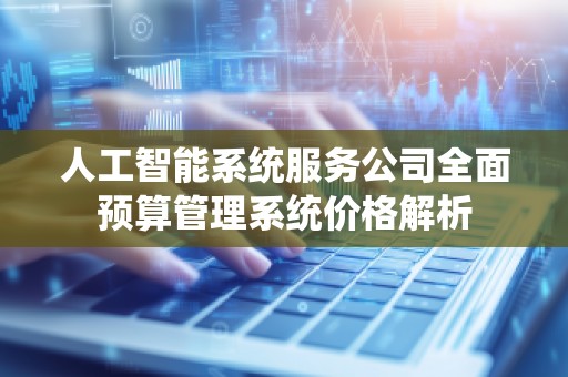 人工智能系统服务公司全面预算管理系统价格解析