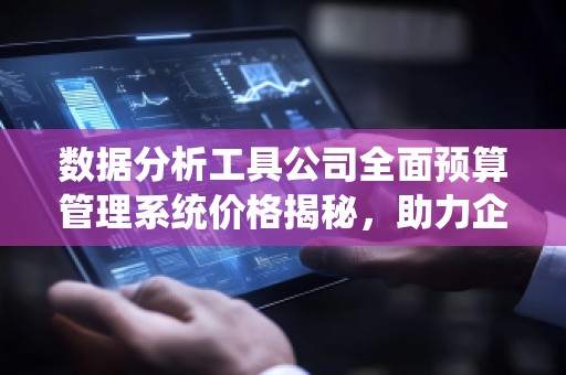数据分析工具公司全面预算管理系统价格揭秘,助力企业财务精准把控!