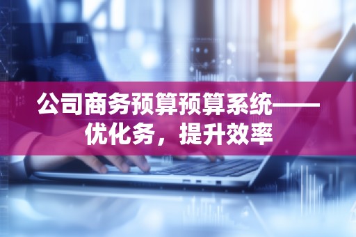 公司商务预算预算系统——优化务,提升效率