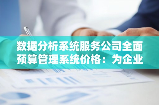 数据分析系统服务公司全面预算管理系统价格:为企业高效管理预算的智慧选择