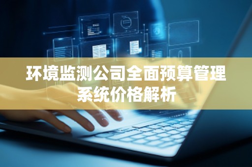 环境监测公司全面预算管理系统价格解析