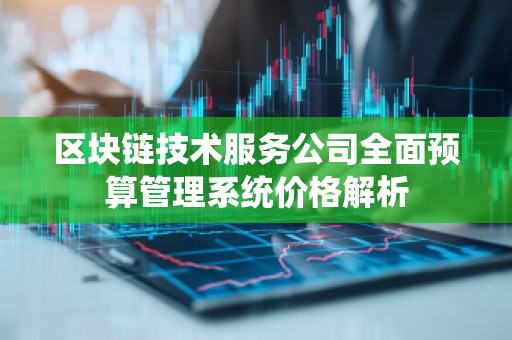 区块链技术服务公司全面预算管理系统价格解析