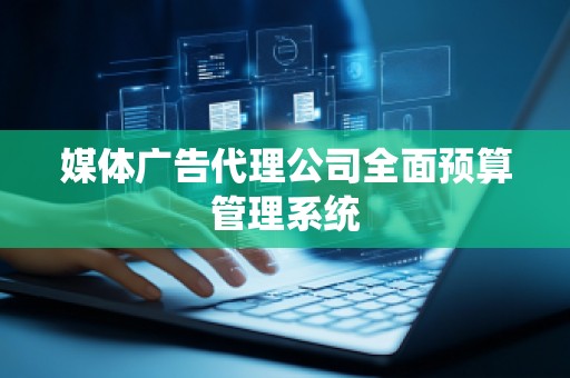 媒体广告代理公司全面预算管理系统