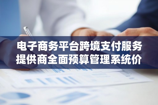 电子商务平台跨境支付服务提供商全面预算管理系统价格分析